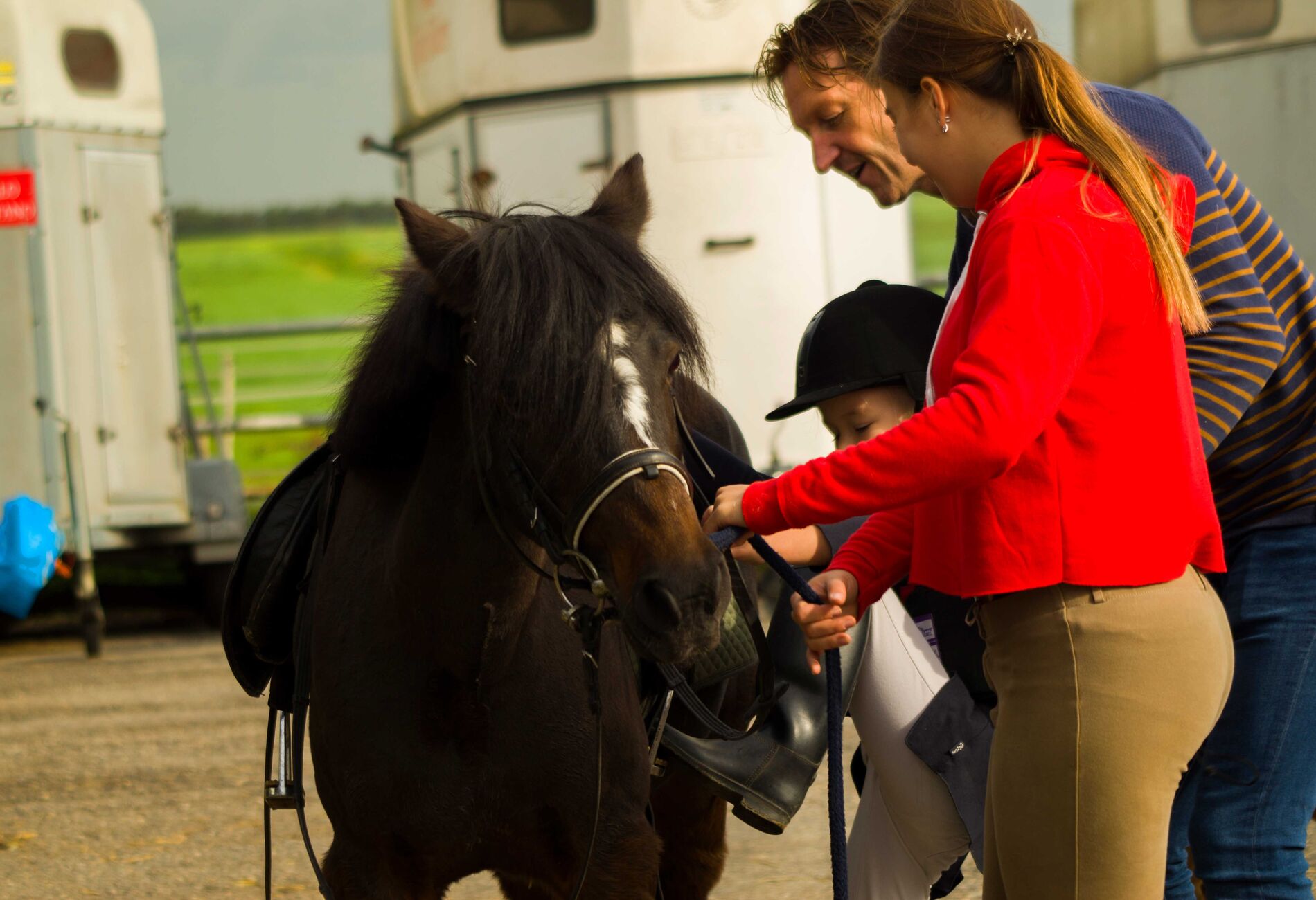 Pony met personen