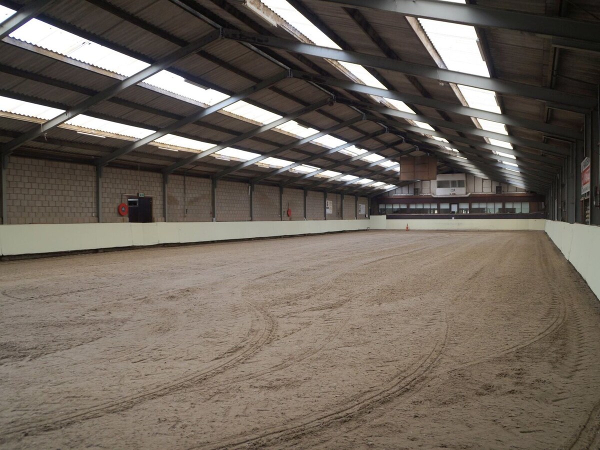 Arena 1