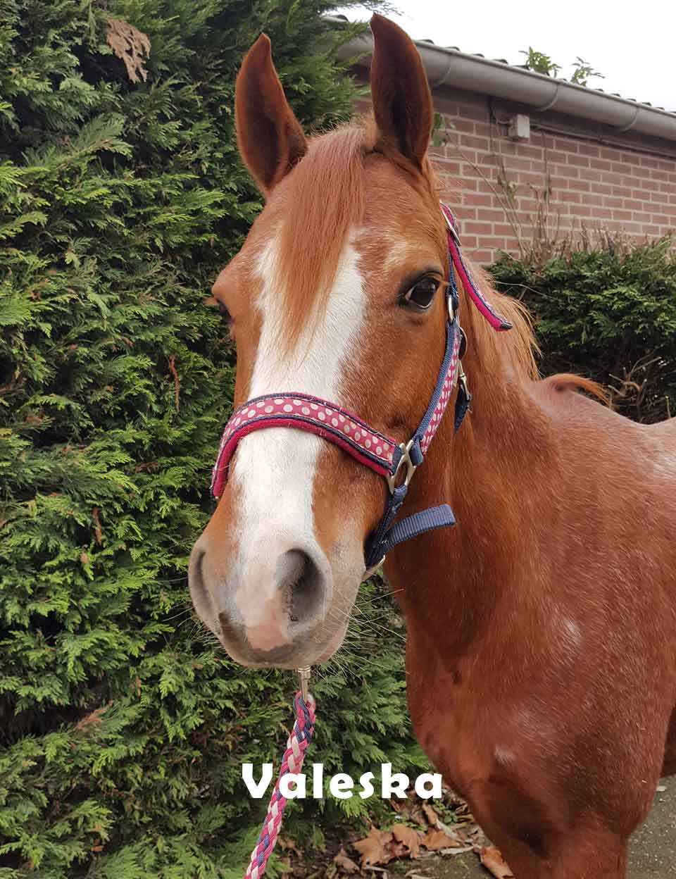 Valeska