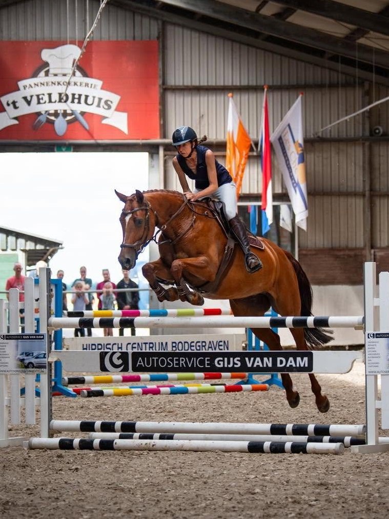 Ingrid van Dam