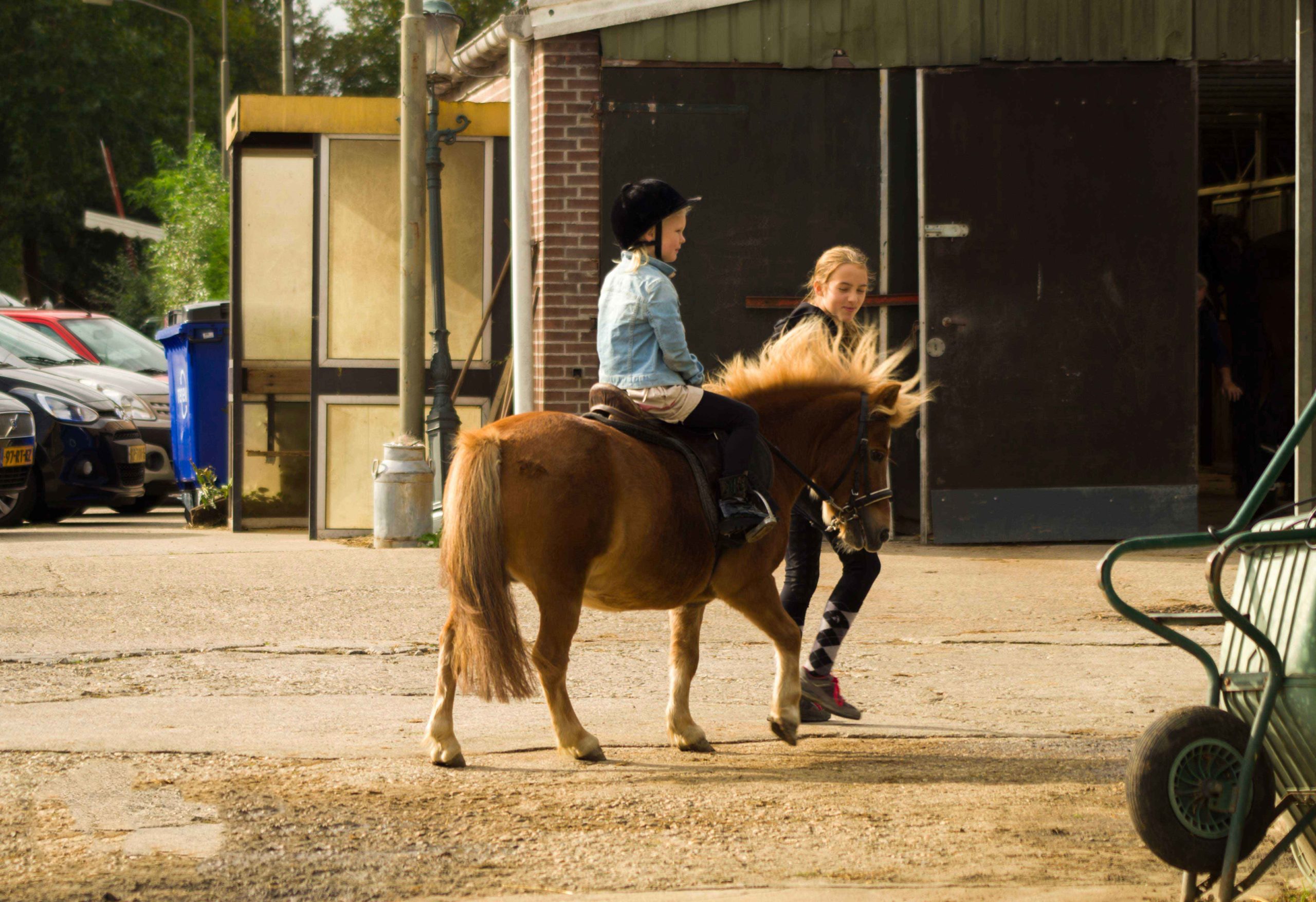 Leren paardrijden